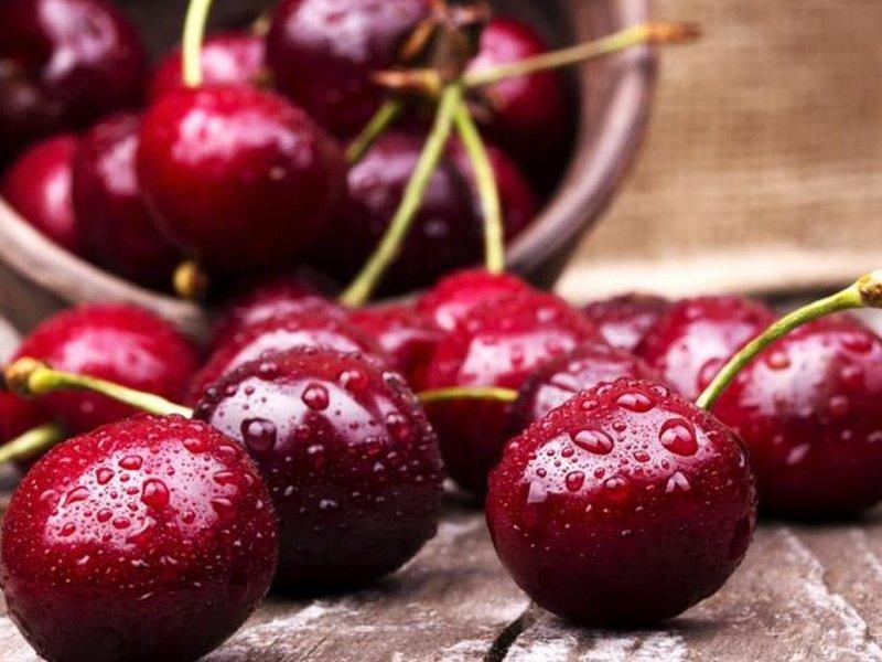 Вишня купить саженцы из питомника в Краснодаре